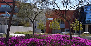 campus image