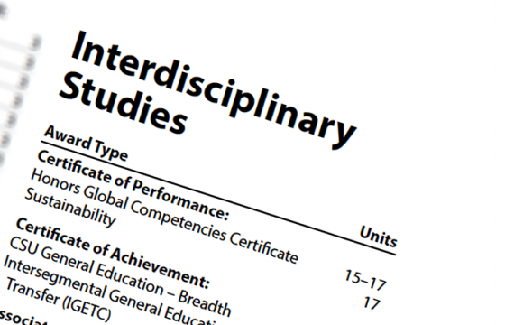 Interdisciplinary Studies