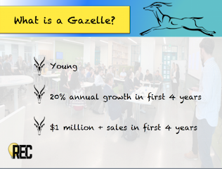 What is a Gazelle Anyways?